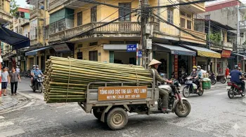 Bán Cọc Tre Tại Hai Bà Trưng Uy Tín, Giá Tận Vựa | Việt Linh