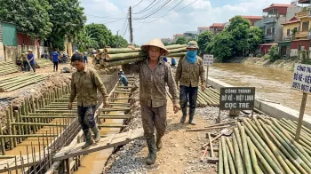 Báo giá Cọc Tre Tại Bạch Mai Uy Tín, Bao Vận Chuyển | Việt Linh