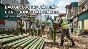 Báo Giá Cọc Tre Tại Cầu Giấy Mới Nhất 2026 - Việt Linh Uy Tín