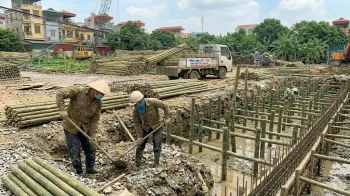 Báo Giá Cọc Tre Tại Chương Mỹ Mới Nhất | Việt Linh - Giá Tận Gốc
