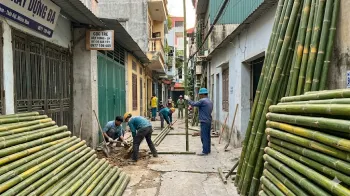 Báo Giá Cọc Tre Tại Đống Đa Mới Nhất 2026 - Chiết Khấu Cao