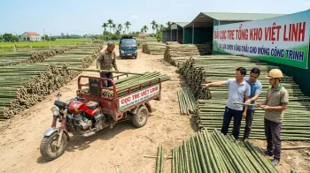 Báo Giá Cọc Tre Tại Gia Lâm Mới Nhất | Việt Linh - Giá Tận Gốc