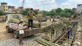 Báo Giá Cọc Tre Tại Hà Đông Mới Nhất | Việt Linh - Giá Tận Kho