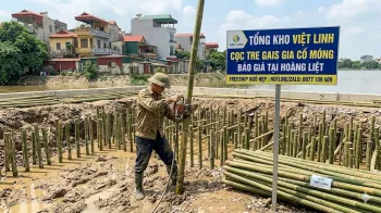 Báo Giá Cọc Tre Tại Hoàng Liệt Mới Nhất, Rẻ Tận Bãi | Việt Linh