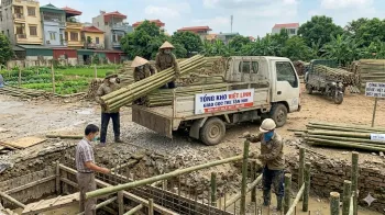 Báo Giá Cọc Tre Tại Long Biên Mới Nhất | Việt Linh - Giá Tận Bãi