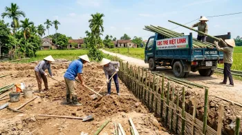 Báo Giá Cọc Tre Tại Sơn Tây Mới Nhất | Việt Linh - Giá Tận Gốc