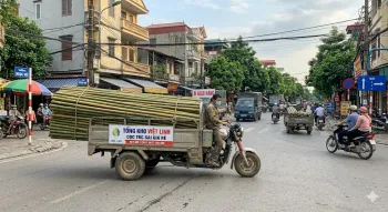 Báo Giá Cọc Tre Tại Thanh Trì Mới Nhất | Việt Linh - Giá Tận Bãi