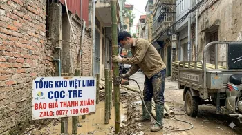 Báo Giá Cọc Tre Tại Thanh Xuân Mới Nhất | Vận chuyển tận nơi