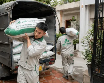 Báo Giá Đất Màu Trồng Cây Đóng Bao Tại Ba Đình Uy Tín | Việt Linh