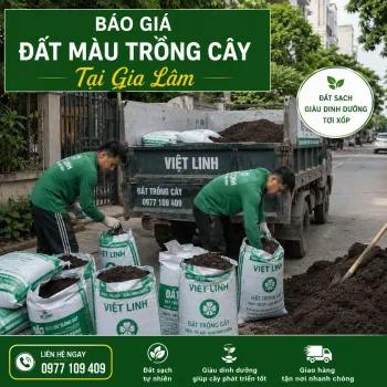 Báo Giá Đất Màu Trồng Cây Tại Gia Lâm Mới Nhất 2026 | Việt Linh Uy Tín