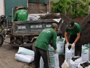 Báo Giá Đất Màu Trồng Cây Tại Thanh Trì Mới Nhất 2026 | Đóng bao tận nơi
