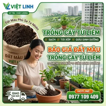 Báo Giá Đất Màu Trồng Cây Tại Từ Liêm | Đóng bao Giao Tận Nhà