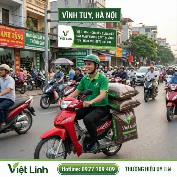 Báo giá Đất Màu Trồng Cây tại Vĩnh Tuy: Đất Sạch, Giàu Dinh Dưỡng - Việt Linh