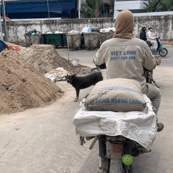 Báo Giá Xi Măng Hoàng Long, Hoàng Thạch Giao Tận Nơi Tại Hoàng Liệt