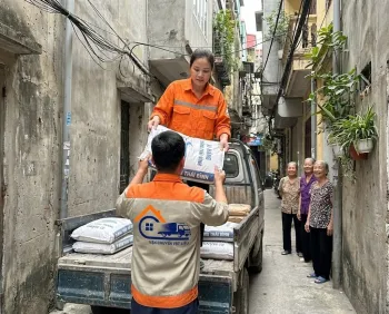 Báo Giá Xi Măng Trắng Thái Bình Tại Hai Bà Trưng | Tổng Kho Việt Linh