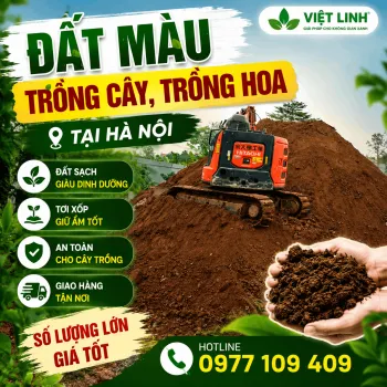 Cung Cấp Đất Màu Trồng Cây Đóng bao Tại Tây Hồ | Việt Linh Sạch Bệnh