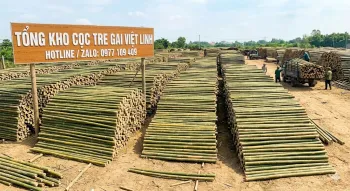Địa Chỉ Bán Cọc Tre Tại Hoàn Kiếm Uy Tín, Giá Cạnh Tranh | Việt Linh